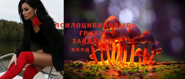 гашиш Бородино