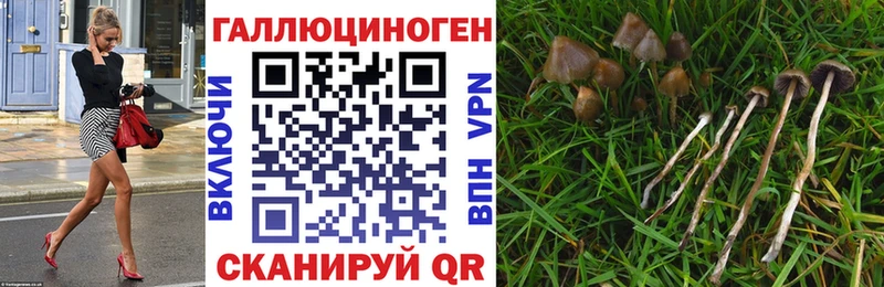 Галлюциногенные грибы мухоморы Купить закладки Верхотурье