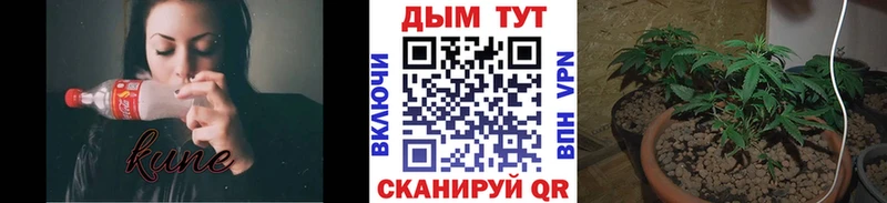 Купить закладки  Верхотурье  Бошки марихуана MAZAR 